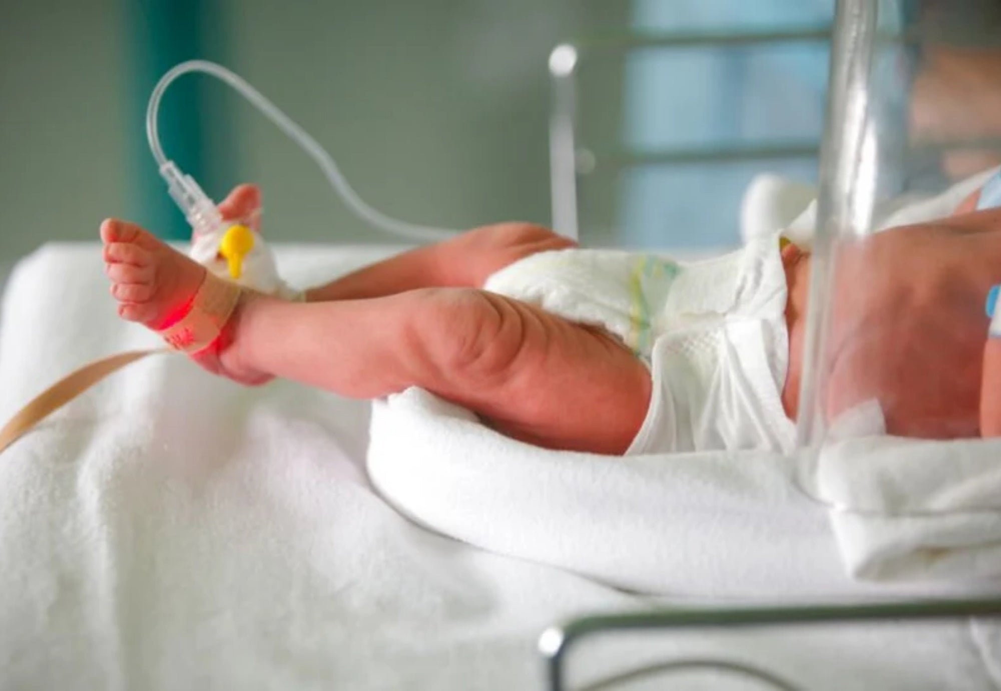 Do Babies from the NICU Need a Medical-Grade Bottle Washer?