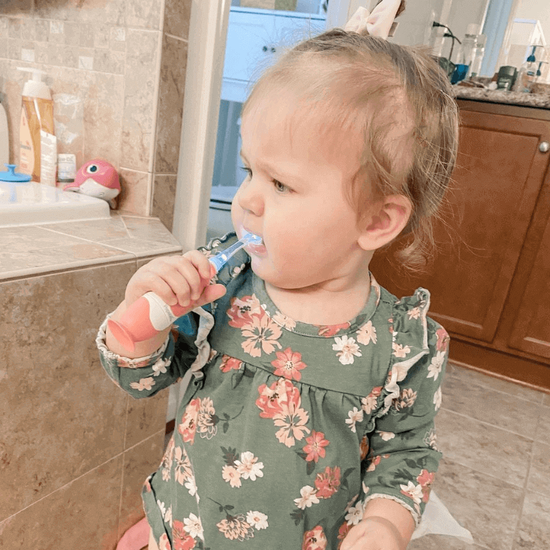 Papablic Unicorn, Dinosaur, Moose, Penguin Toothbrush Set
