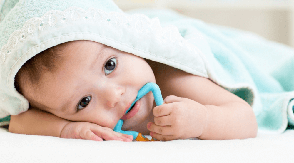 Papablic Baby Toothbrush papablic-baby-toothbrush