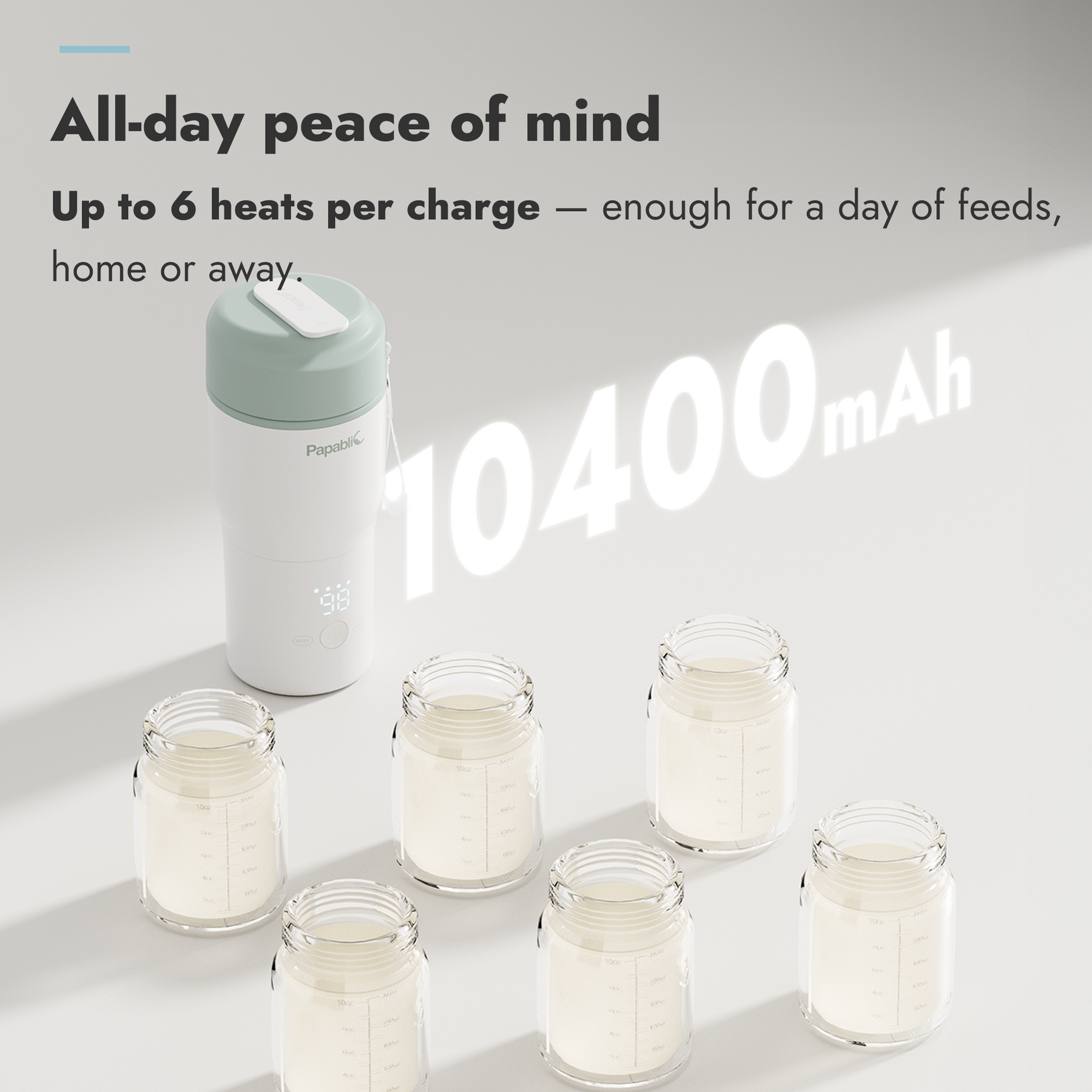 Papablic Portable Bottle Warmer & Sterilizer